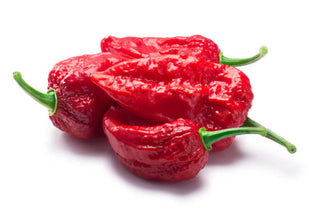 How to tell the difference between a Carolina Reaper and a Trinidad Scorpion Chili?