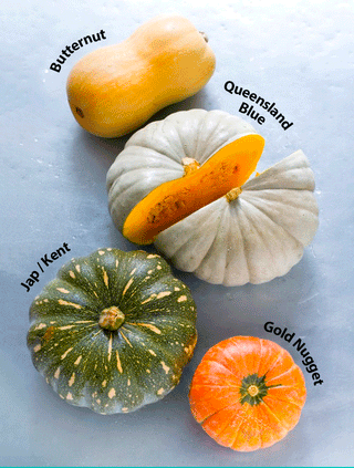 Vine Dining - Pumpkins