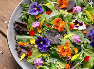 Edible Flower Seedlings