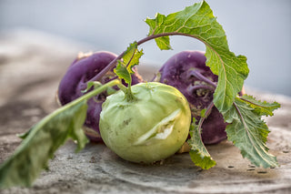 Kohlrabi