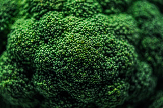 Broccoli