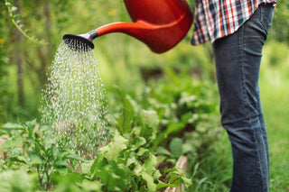 Liquid Fertiliser