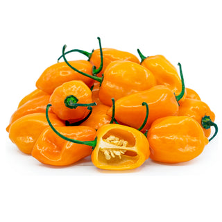 Habanero Chilli (Orange)