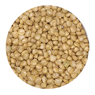 Certified Organic Coriander Seed