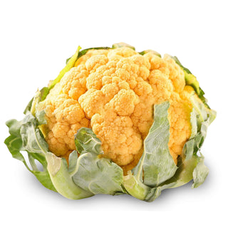 Cauliflower Seedlings (Yellow)